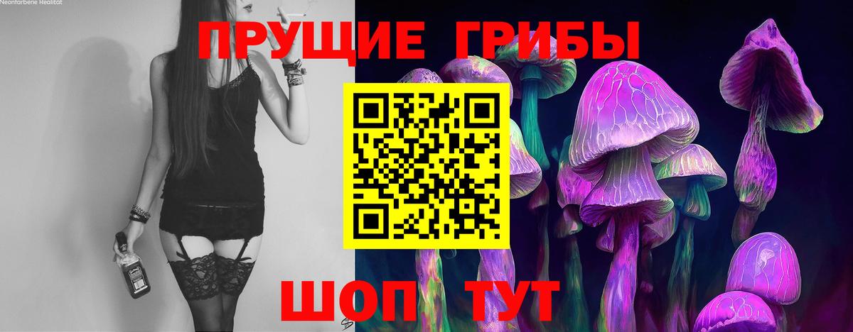 Псилоцибиновые грибы мухоморы Лесной
